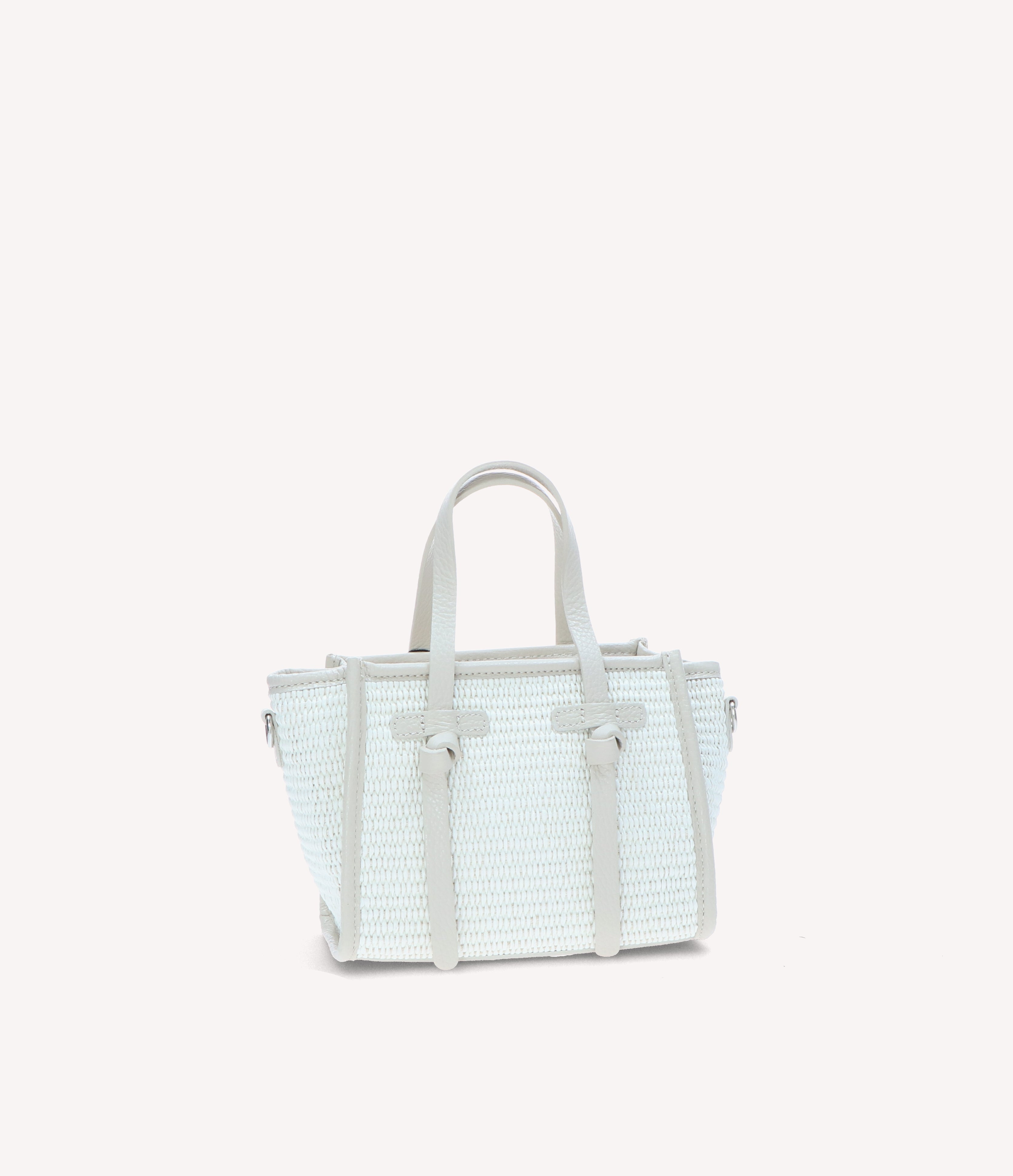 Exilis 0647 - Charlotte Pelletteria