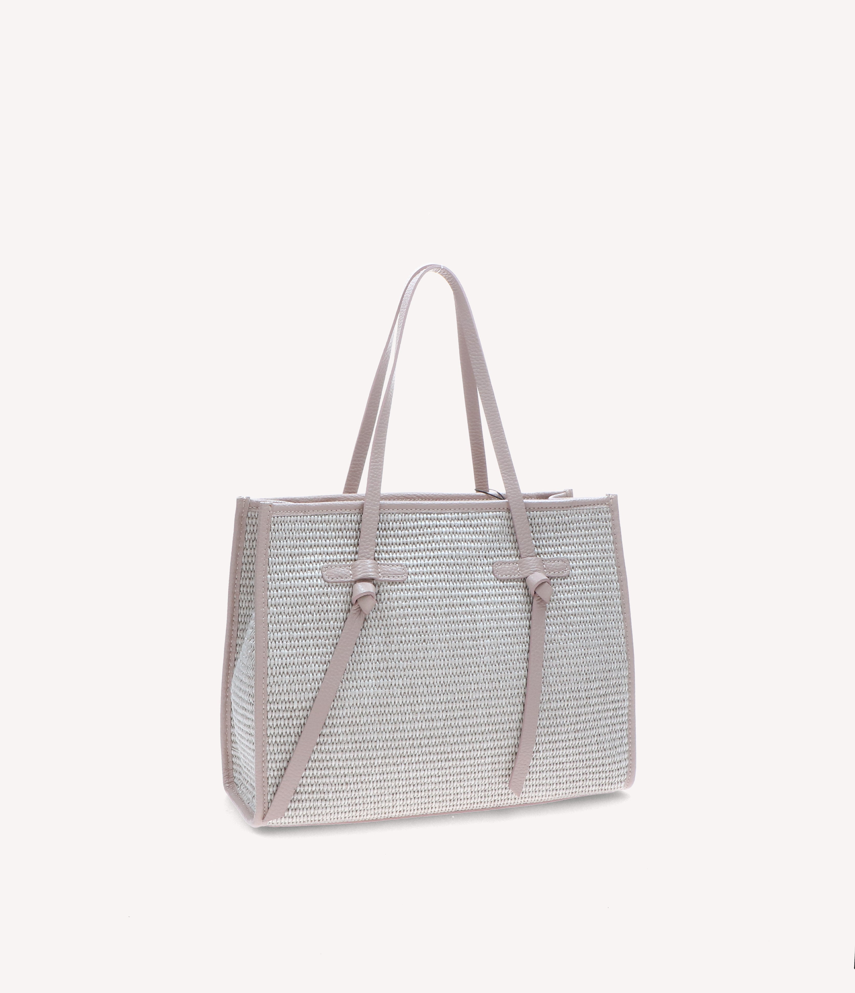 Exilis 0649 - Charlotte Pelletteria
