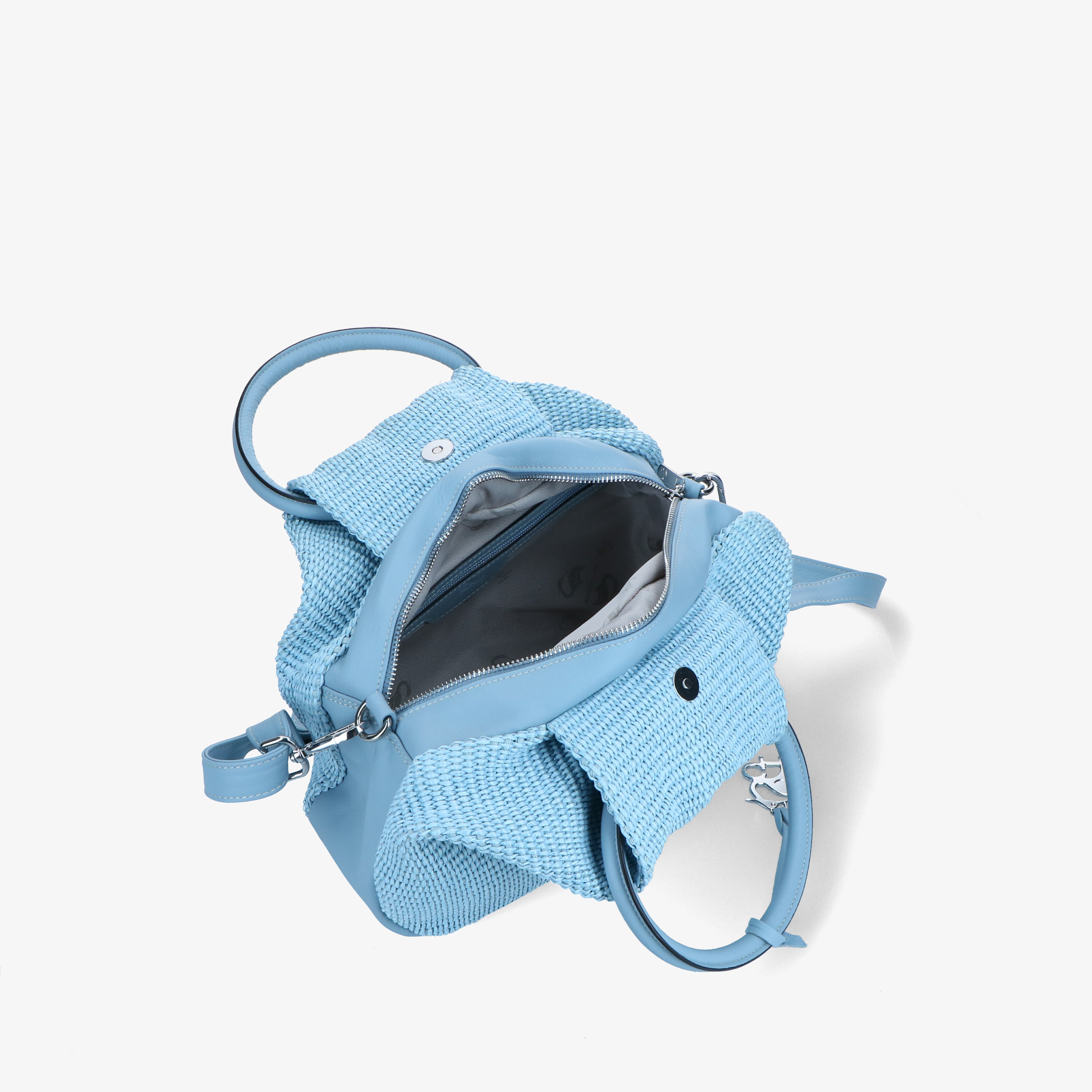 Exilis 3659 - Charlotte Pelletteria