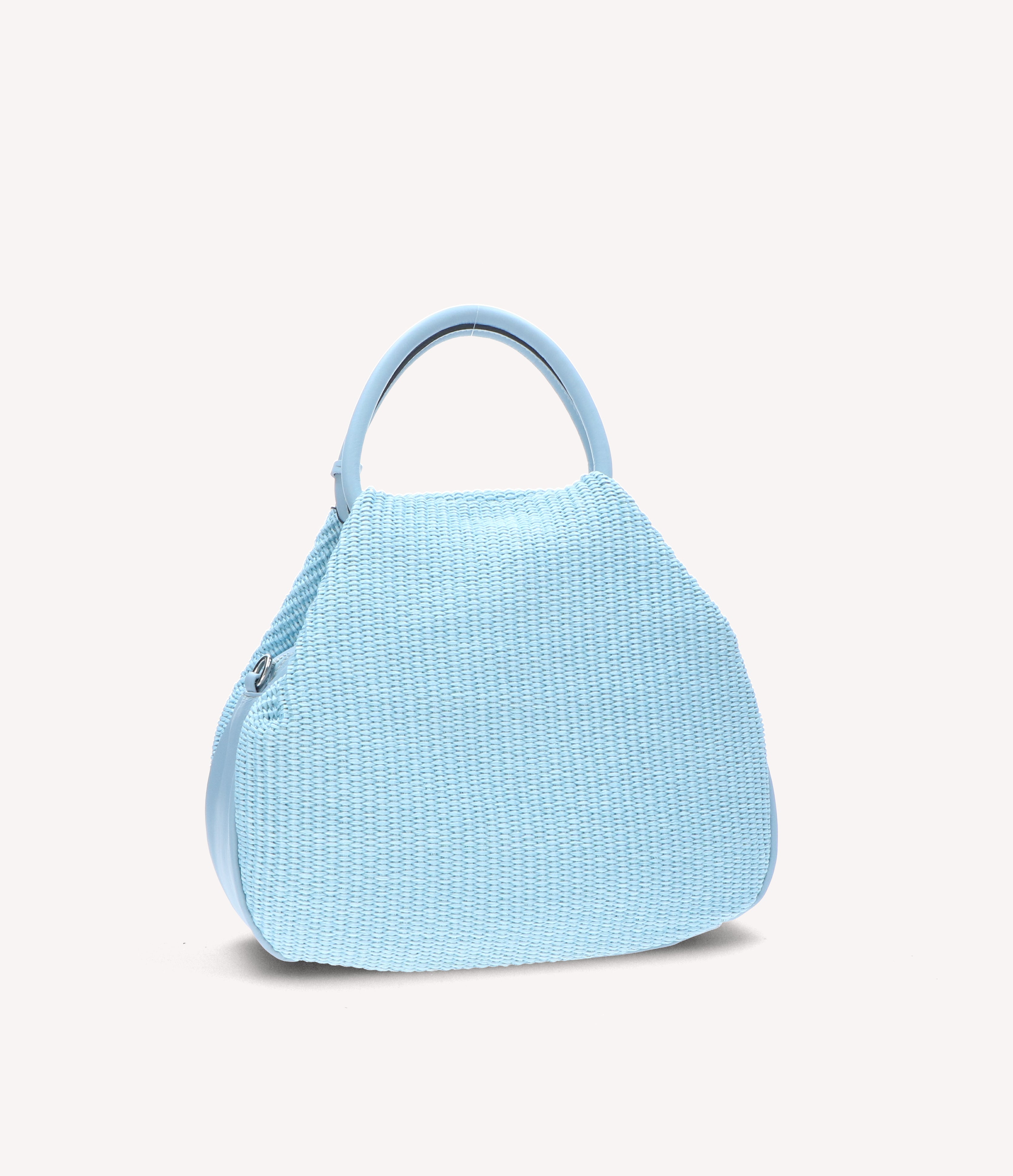 Exilis 3228 - Charlotte Pelletteria
