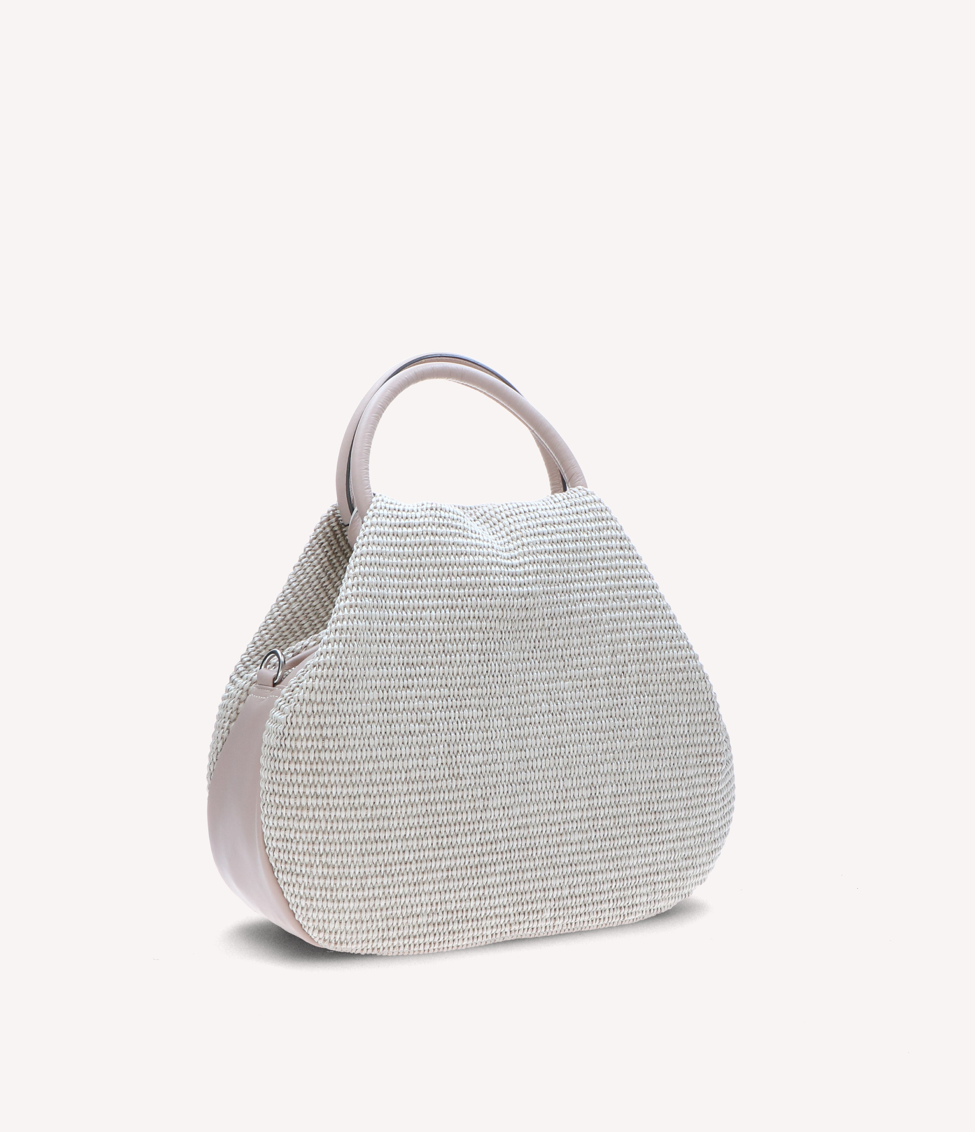 Exilis 3228 - Charlotte Pelletteria