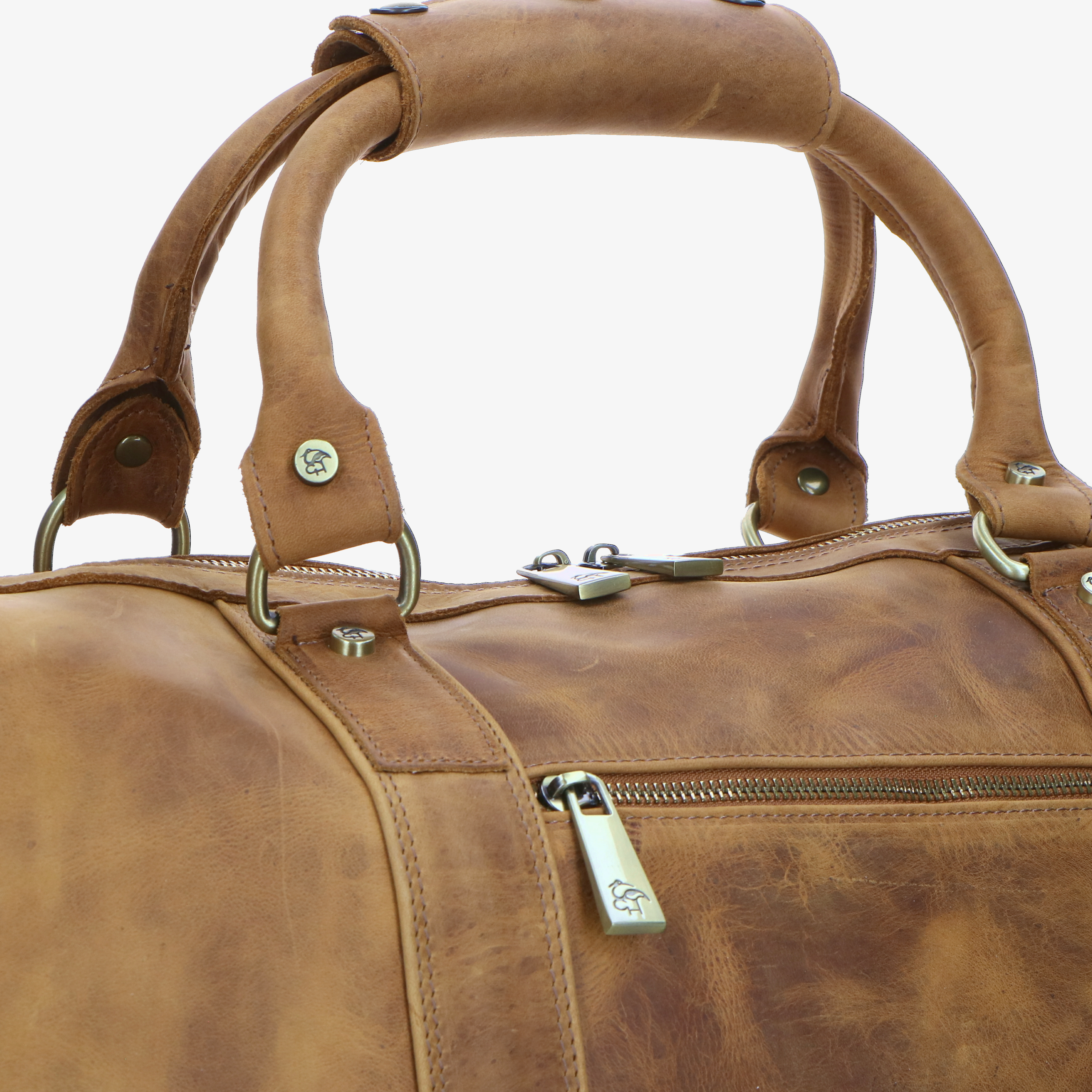 Goliath 0683 - Charlotte Pelletteria