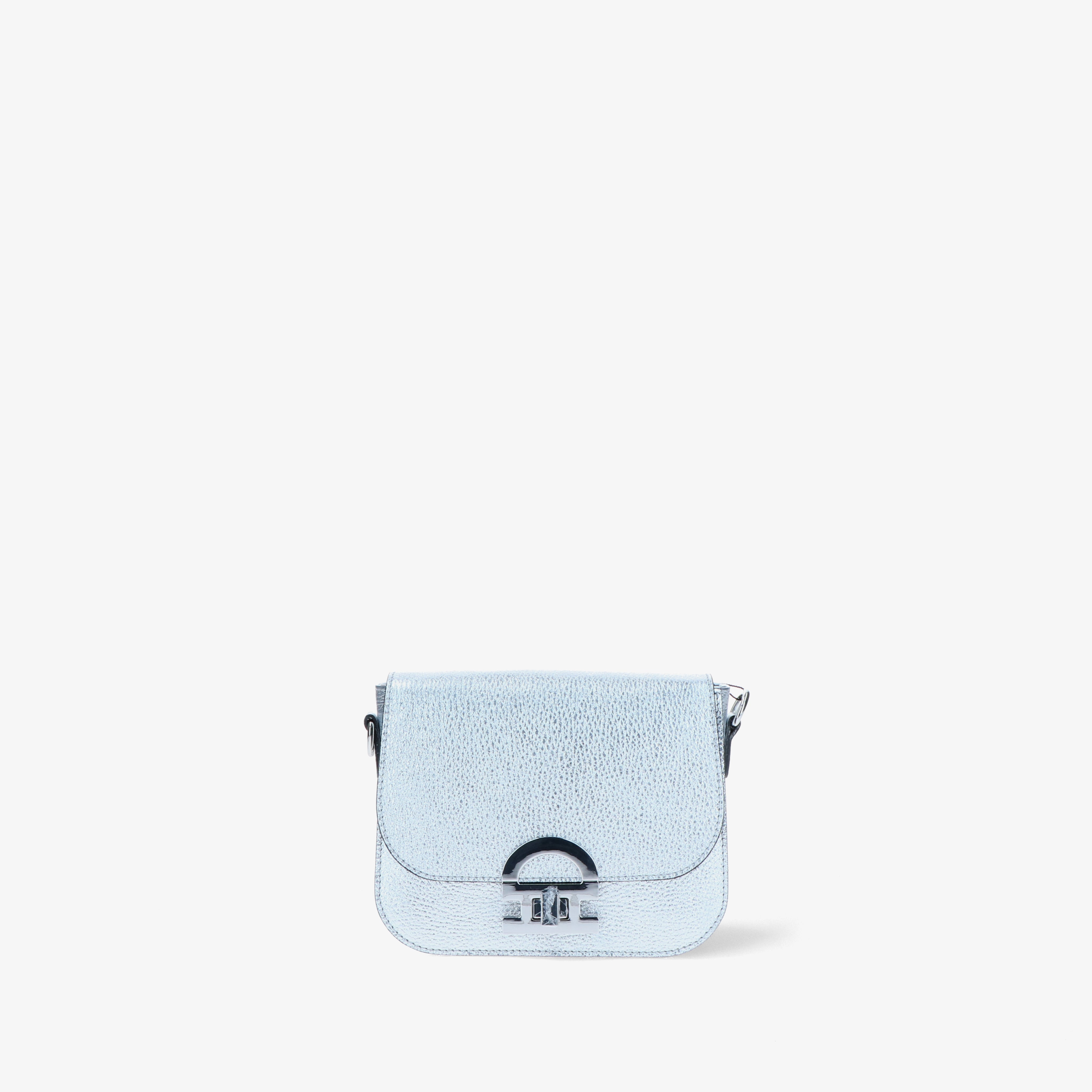 Purpurea CH 0491 - Charlotte Pelletteria