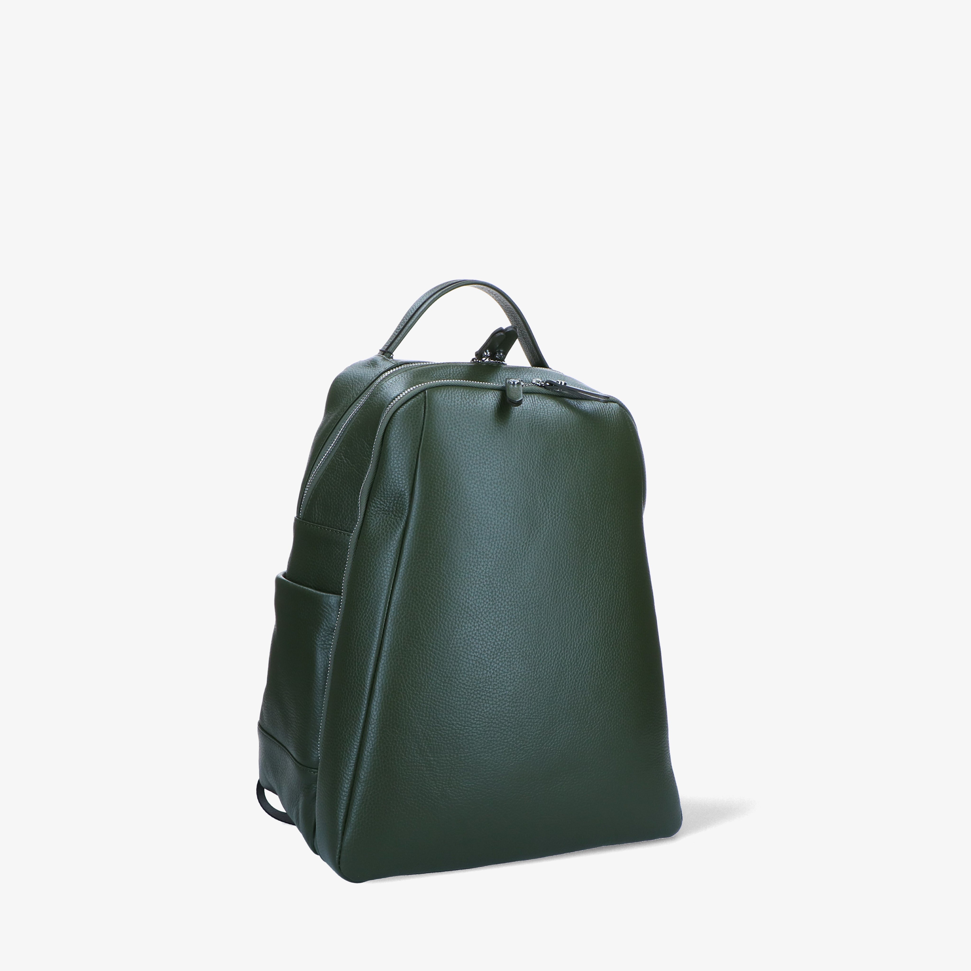 Zebrilus 3289 - Charlotte Pelletteria