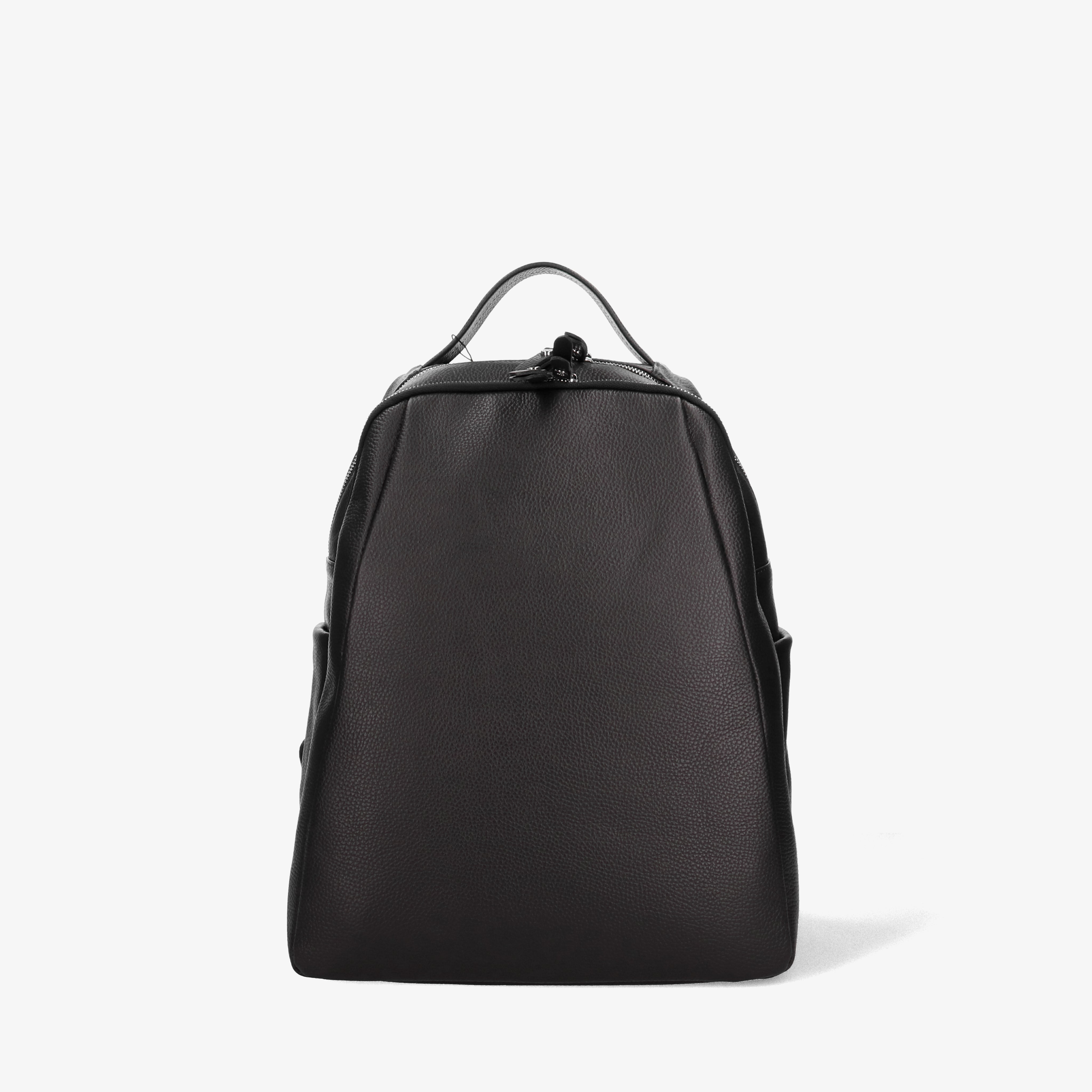 Zebrilus 3289 - Charlotte Pelletteria